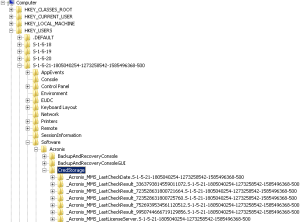 License Holder Regedit