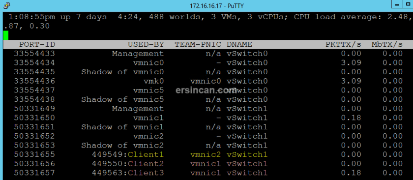 nic-teaming-esxi (3)