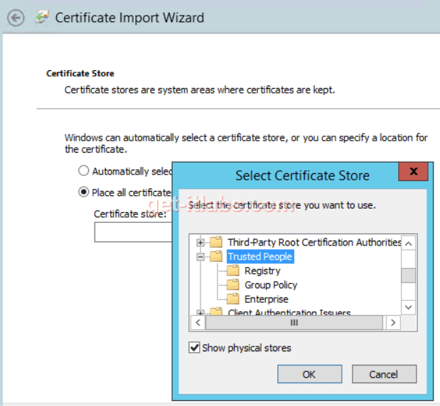 citrix-sertifika-problemi (4)